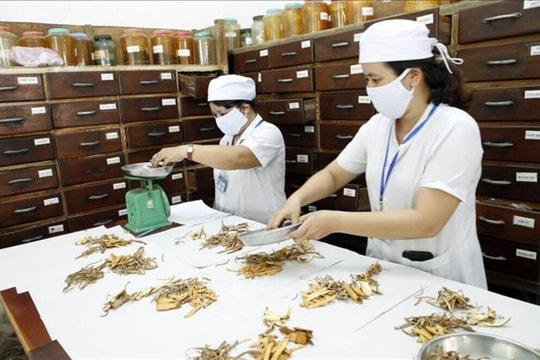 Phát huy vị thế, vai trò của y học cổ truyền trong chăm sóc sức khỏe nhân dân