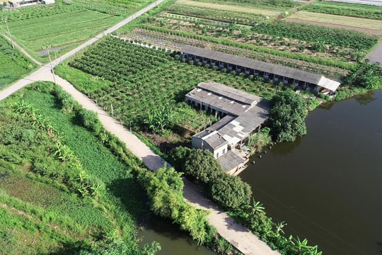 Hợp tác xã 'khát' vốn