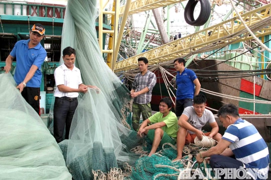 Thủ tướng yêu cầu tập trung thực hiện tháng cao điểm chống khai thác hải sản bất hợp pháp