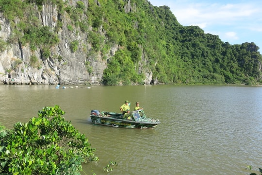 Kiểm lâm Hải Phòng ứng dụng chuyển đổi số trong quản lý, bảo vệ rừng