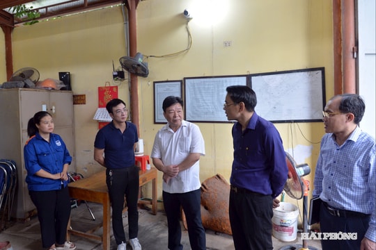 Giám sát việc tiêu thoát nước và xử lý nước thải đô thị tại các phường Gia Viên, Hải An