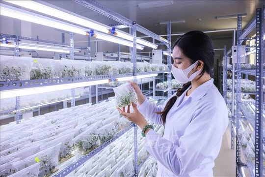 Đẩy mạnh đổi mới sáng tạo, nâng cao năng lực cạnh tranh quốc gia