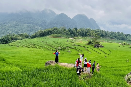 Phát triển du lịch gắn với tăng trưởng xanh, bền vững