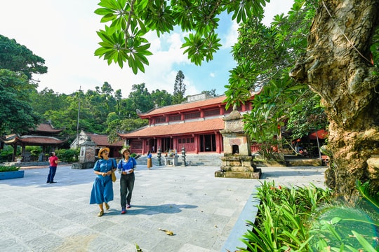 Cẩn trọng với dịch vụ du lịch trực tuyến