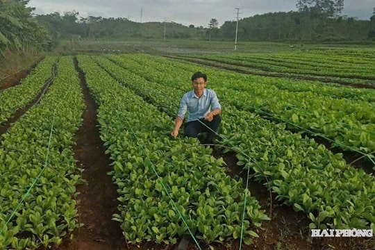 Xuất khẩu rau quả trong 9 tháng năm 2025 đạt hơn 6 tỷ USD