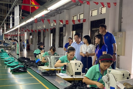 Đổi mới hoạt động giám sát của HĐND thành phố theo trọng tâm, trọng điểm
