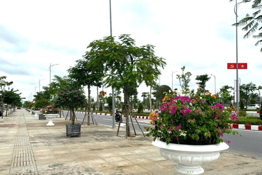 Trang trí hơn 300 chậu hoa tại đường Đỗ Mười phục vụ Đại hội Đảng bộ thành phố