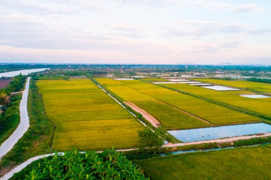 Xã Chí Minh phát triển mạnh nông nghiệp hữu cơ
