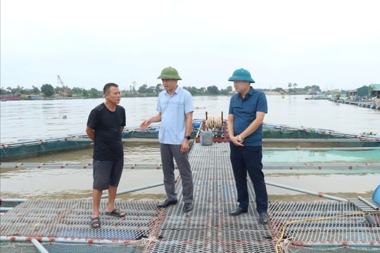 Xã Thái Tân phát huy thế mạnh nuôi cá lồng gắn với bảo vệ môi trường bền vững