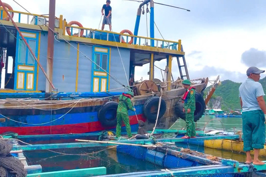 Đề phòng nguy cơ xảy ra dông, lốc và gió giật mạnh trước và trong khi bão đổ bộ