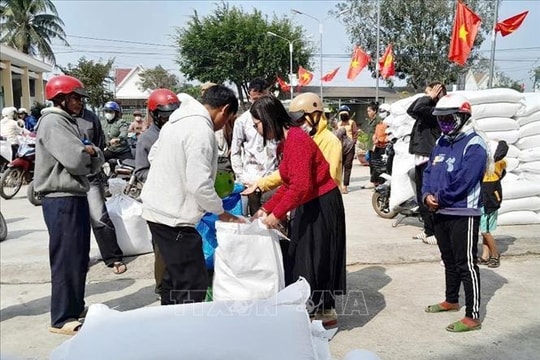 Hoàn thành đấu thầu 200.000 tấn gạo dự trữ quốc gia