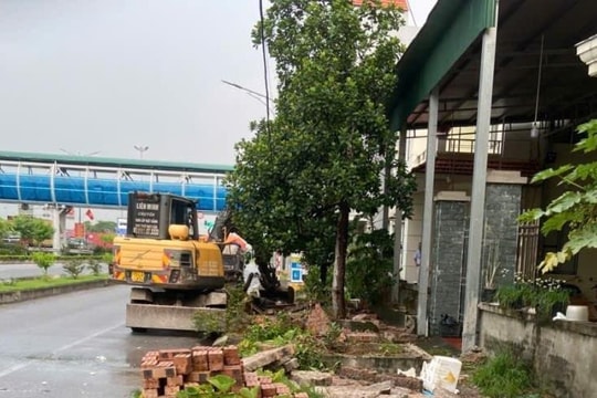 Phường Đông Hải lập lại trật tự đô thị