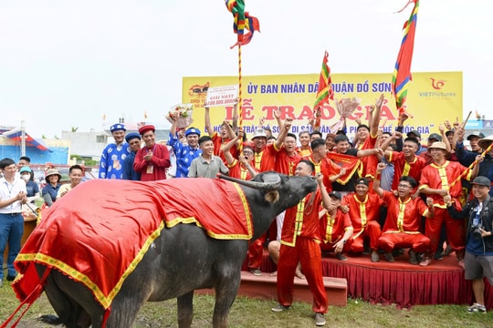 Lễ hội chọi trâu Đồ Sơn - ‘mùng chín tháng tám chọi trâu thì về’