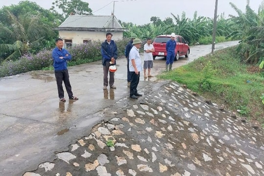 Hai Phong dykes, irrigation works and agricultural production remain safe