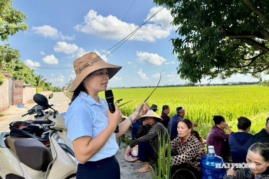 Vượt khó đồng hành cùng nông dân sản xuất