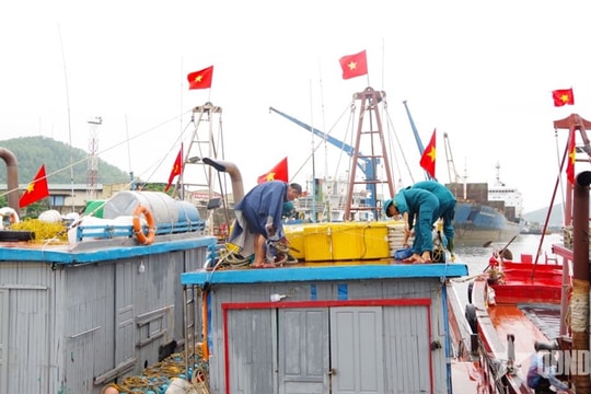 Thủ tướng Chính phủ yêu cầu chủ động ứng phó ở mức cao nhất với bão Bualoi