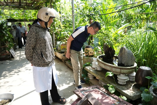 Cẩn trọng với dịch sốt xuất huyết