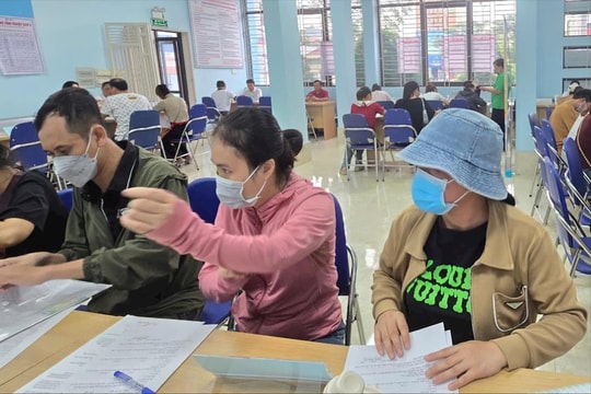 Thu thập thông tin lao động của hơn 400 doanh nghiệp để kết nối cung cầu