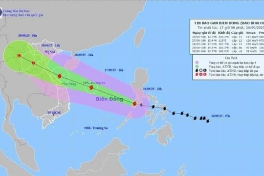 Ngành y trực 24/24h, không để gián đoạn cấp cứu, điều trị trong bão số 10