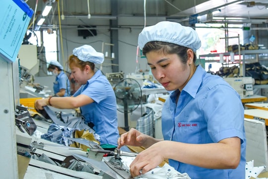 Xây dựng chính sách thị trường lao động hiệu quả