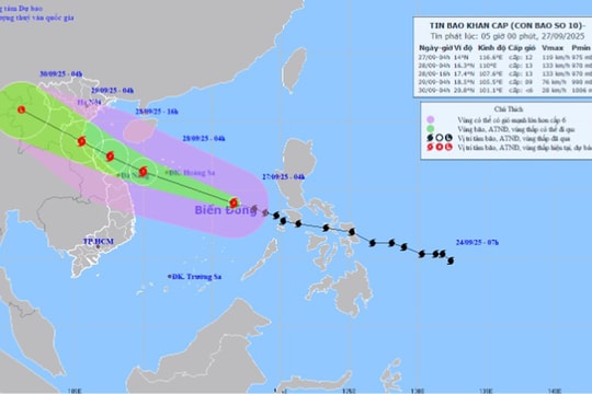 Typhoon Bualoi intensifies over East Sea, widespread showers forecast for Hai Phong