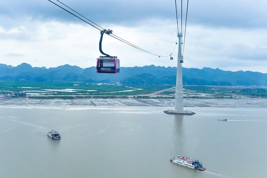 Hai Phong develops green transportation