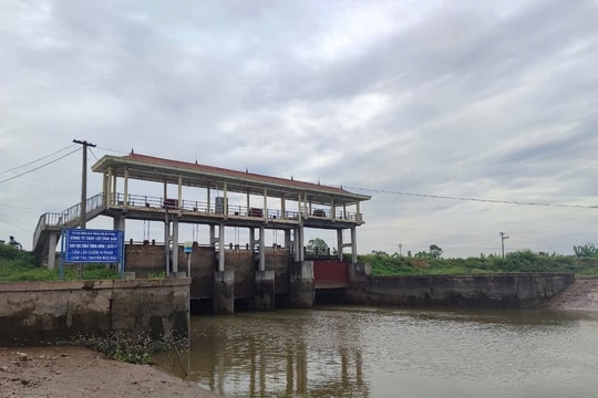 Hải Phòng chủ động tiêu hạ nước đệm trong hệ thống thủy lợi