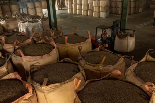 Việt Nam là thị trường cung cấp cà phê lớn thứ hai cho Thái Lan