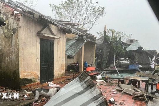 Bí thư Chi bộ thôn tử vong trong quá trình tham gia chống bão số 10