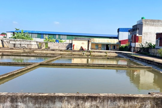 Háo hức mong chờ nước sạch về xã