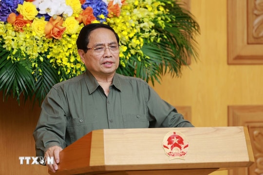 Thủ tướng yêu cầu xử lý người đứng đầu cấp ủy, chính quyền nếu để xảy ra khai thác hải sản bất hợp pháp