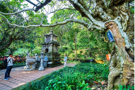 Tour du lịch mới ở Hải Phòng đi 'theo dấu chân Tam tổ Trúc Lâm'