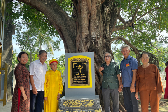 Chung tay bảo vệ cây di sản