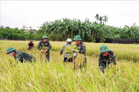 Quân đội huy động tối đa lực lượng, phương tiện hỗ trợ nhân dân khắc phục hậu quả bão số 10
