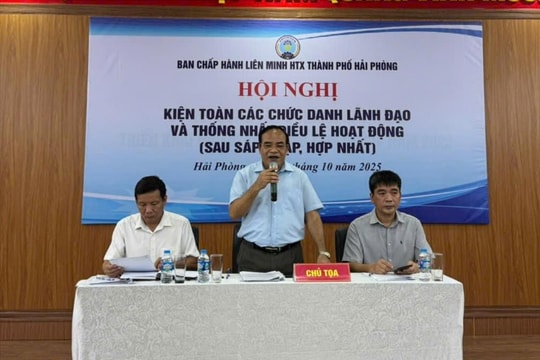 Liên minh Hợp tác xã thành phố Hải Phòng kiện toàn các chức danh lãnh đạo
