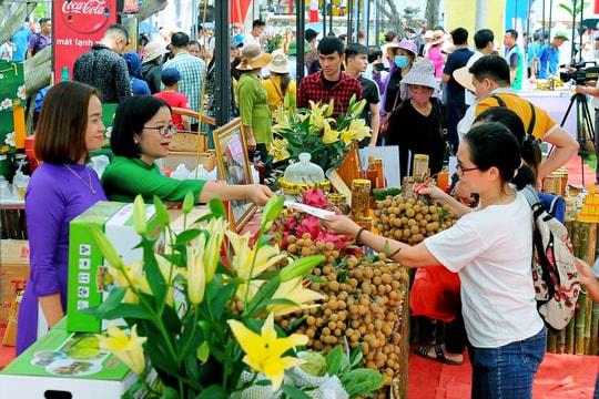Nâng tầm sản phẩm OCOP