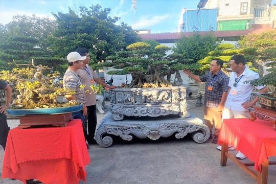 Gần 200 tác phẩm tham gia triển lãm sinh vật cảnh khu vực Vĩnh Bảo