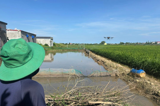 Hải Phòng thi hành Luật Công nghiệp công nghệ số