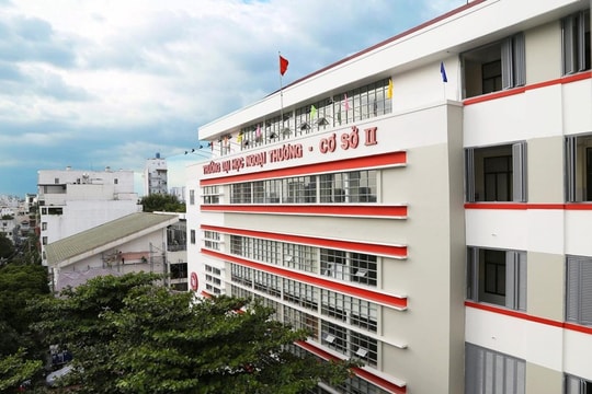 Sáp nhập trường đại học từ năm 2026