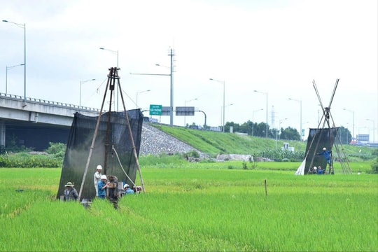 Đề xuất thêm 4 trường hợp Nhà nước được thu hồi đất