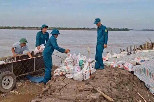 Kiến Hưng chủ động gia cố đê xung yếu, chuẩn bị phương án di dân an toàn