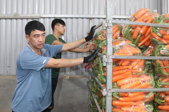 Giải 'cơn khát' vốn cho các hợp tác xã