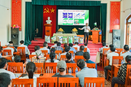 Xây dựng quy trình sản xuất hành củ an toàn ở xã Nam An Phụ
