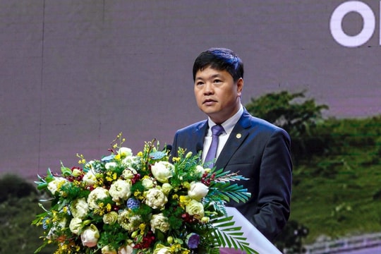 Hai Phong aims for green, sustainable logistics development