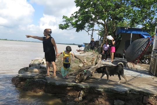 Bảo vệ người dân vùng bãi ven sông thôn Quán Trang