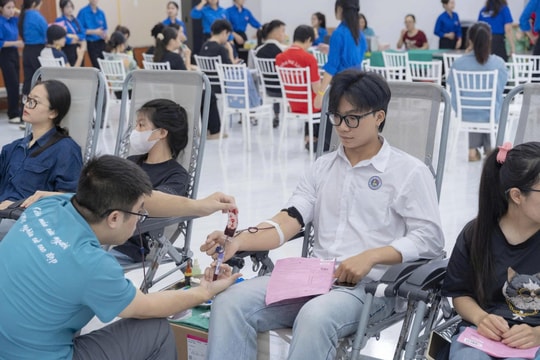 Cán bộ, giảng viên, sinh viên Trường Đại học Hải Phòng hiến gần 700 đơn vị máu