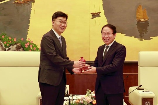 Hải Phòng tăng cường hợp tác khoa học, công nghệ và đổi mới sáng tạo với đối tác Hàn Quốc