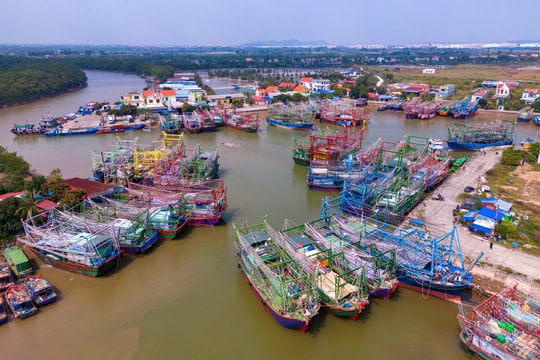 Đến cảng cá Mắt Rồng nghe chuyện vươn khơi