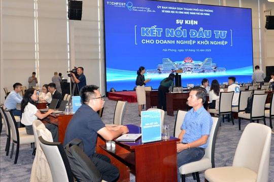 Startup investment connection at Techfest Haiphong 2025