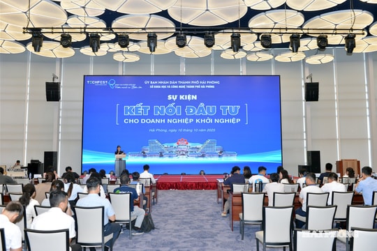 Quy định về Quỹ đầu tư mạo hiểm quốc gia và quỹ đầu tư mạo hiểm của địa phương